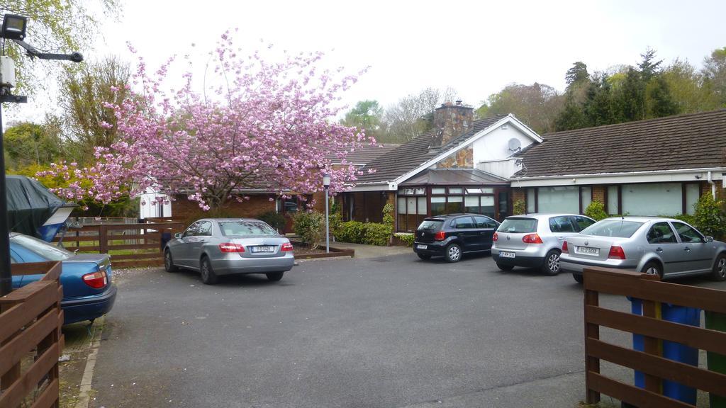 Woodville B&B Bray Zewnętrze zdjęcie