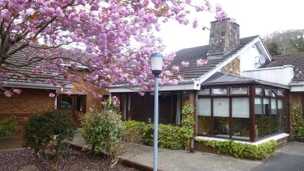 Woodville B&B Bray Zewnętrze zdjęcie